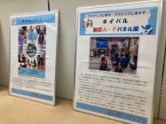 ネイパル防災A・P展